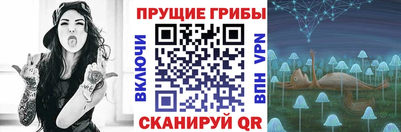 kraken ссылки  купить   Терек  Галлюциногенные грибы мицелий 